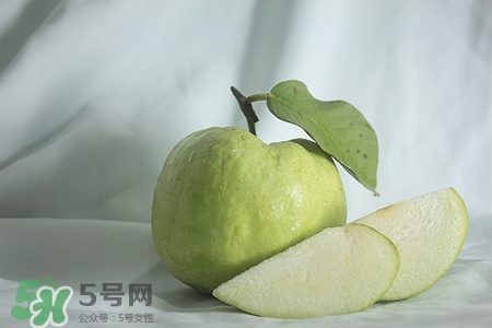 芭乐的籽可以吃吗芭乐的皮可以吃吗,芭乐的皮可以吃吗 芭乐的籽可以吃吗芭乐的皮可以吃吗,芭乐的皮可以吃吗