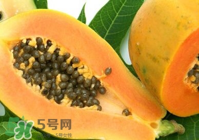 木瓜籽妙用,木瓜籽有什么用 木瓜籽妙用,木瓜籽有什么用