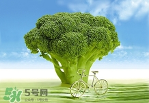 西兰花为什么会变黄变黄了能吃吗,西兰花为什么会变黄?