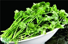 香菜根的功效和作用禁忌,香菜根的功效和作用 香菜根煮水的功效