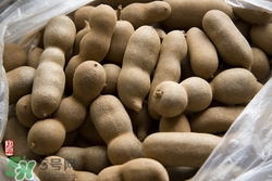 甜角怎么泡水喝吗,甜角可以泡水喝吗