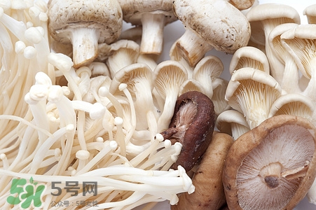 各种食物营养成分表,营养价值高的食物有哪些