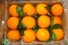 脐橙的保存最佳方法,脐橙的保存方法