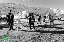 冬天怕冷吃什么食物调理,冬天怕冷吃什么食物最好