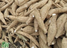 葛木是什么,葛木是什么木头 葛木是什么,葛木是什么木头