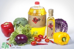 炸东西用什么油好吃又健康,炸东西用什么油好?