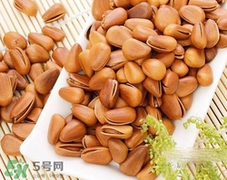 松子油脂含量高吗,松子含油量高吗