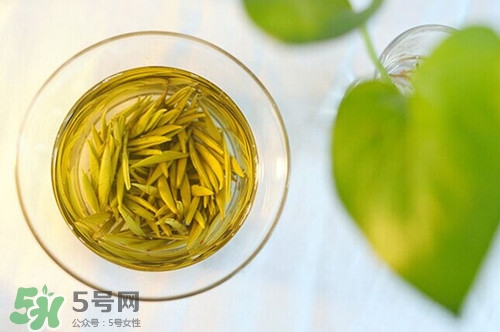 荷叶茶怎样保存,荷叶茶可以放多久