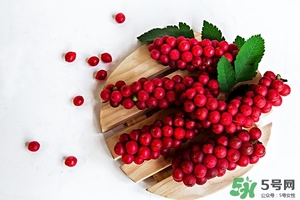 五味子泡茶什么味道,五味子茶的功效和作用及食用方法