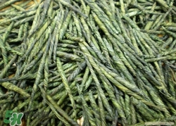 苦丁茶的副作用是什么,苦丁茶有什么作用和功效副作用