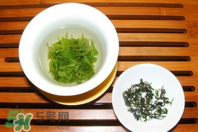 苦丁茶减肥方法,苦丁茶 减肥