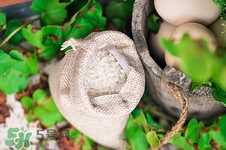 粳米和籼米的区别哪个好,籼米和粳米的区别 粳米和籼米的区别哪个好,籼米和粳米的区别