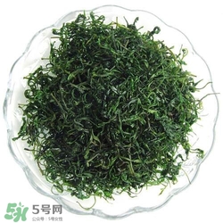 喝苦丁茶有什么好处和坏处,喝苦丁茶有什么好处什么人不能喝