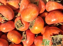 柿子和糖尿病患者,糖尿病人能不能吃柿子吗