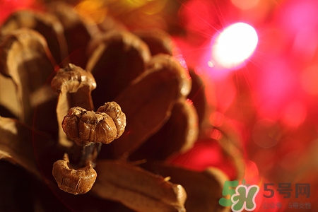 松子的营养价值和功效,松子的营养价值和功效作用