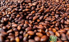 松子吃了对身体有什么好处,吃松子对身体有什么好处和坏处