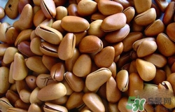 松子吃多了上火怎么办,松子仁吃多了上火吗