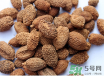 吃砂仁有什么好处,吃砂仁有什么好处和什么处 吃砂仁有什么好处,吃砂仁有什么好处和什么处