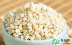 高粱米的营养价值及功效,高粱米的营养价值及功效和禁忌