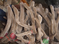 放冰箱放了很久了可不可以吃,冰箱里的东西时间长还可以吃吗