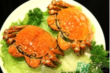 一岁宝宝可以吃螃蟹肉吗,十个月宝宝可以吃螃蟹肉吗 一岁宝宝可以吃螃蟹肉吗,十个月宝宝可以吃螃蟹肉吗