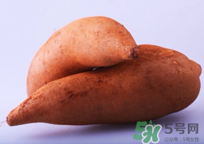 雪莲果去火吗,雪莲果清火吗? 雪莲果去火吗,雪莲果清火吗?