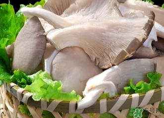 平菇的功效和作用及营养价值,平菇的功效和作用禁忌