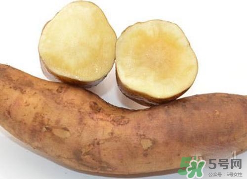 产妇能吃雪莲果吗?,产妇能吃雪莲果的作用和功效