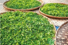 冬天暖胃的茶,冬天养胃的茶