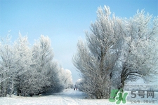 下雪天应该吃什么,下雪天吃啥好