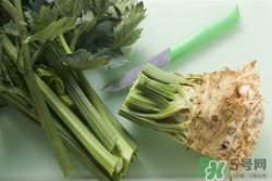 芹菜根有什么好处,芹菜根的作用