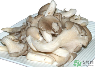 清洗平菇的正确方法,平菇如何清洗干净