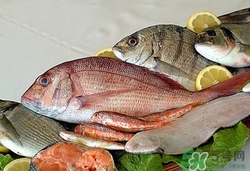 桂鱼价格今日价,桂鱼是什么样的