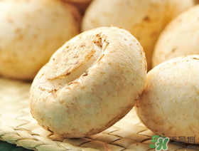 草菇怎么保存时间长,草菇存放时间有多长?