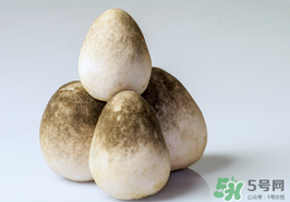 草菇的功效和作用图片,草菇的功效和作用及禁忌