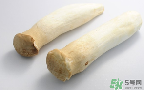 鸡腿菇长白毛了能吃吗,鸡腿菇长白毛还能吃吗