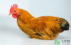 火车不能带什么东西化妆品,高铁火车不能带什么东西