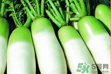 萝卜祛寒吗,萝卜冬天吃可以驱寒吗 萝卜祛寒吗,萝卜冬天吃可以驱寒吗