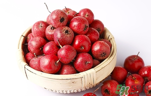 山楂的食用功效,山楂的食用功效论文 山楂的食用功效,山楂的食用功效论文