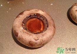 口菇的营养价值,含量,口菇的营养是什么