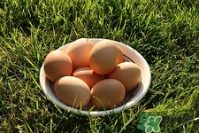 坐月子怎么吃鸡蛋最好,月子一定要吃鸡蛋吗 坐月子怎么吃鸡蛋最好,月子一定要吃鸡蛋吗