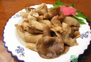 鲍鱼菇的功效和作用及食用方法,鲍鱼菇的功效和作用