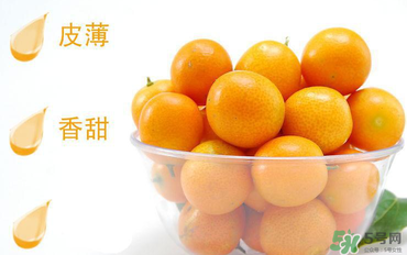 金桔的食用方法是什么,冰糖金桔的制作方法