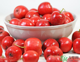 山楂几月份成熟采摘,山楂有几种品种图片