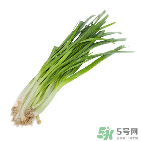 蒜苗的功效和作用禁忌,蒜苗的功效和作用是什么 蒜苗的功效和作用禁忌,蒜苗的功效和作用是什么