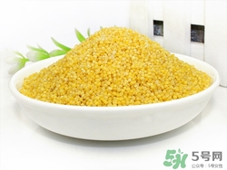 大黄米和小黄米的营养价值有什么区别,大黄米和小黄米的营养价值 大黄米和小黄米的营养价值有什么区别,大黄米和小黄米的营养价值