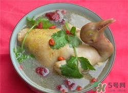 儿童吃鸽子肉有什么好处,宝宝吃鸽子肉的营养价值及功效