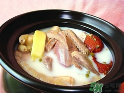 孕妇吃鸽子肉的好处,孕妇吃鸽子肉好吗