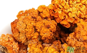 鲜银耳怎么吃最好,新鲜的金耳怎么吃