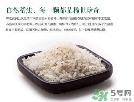 胚芽米的功效和作用及食用方法,小麦胚芽的功效和作用